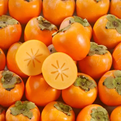 6011_Kaki_persimon_2