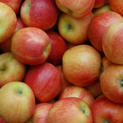 produit-pomme-jonagold