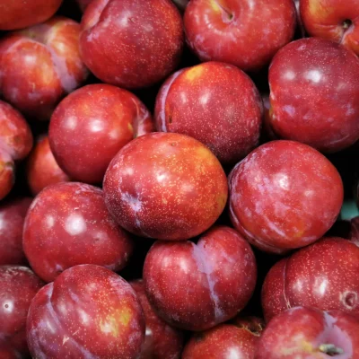 prune_rouge